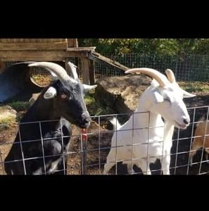 Meet your Posher, Aidan